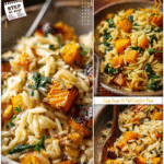 Creamy Orzo with Roasted Acorn & Butternut Squash 5 Warm orzo with roasted acorn and butternut squash served in a rustic bowl