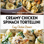 Bowl of creamy chicken and spinach tortellini topped with roasted garlic sauce and sprinkled parmesan cheese