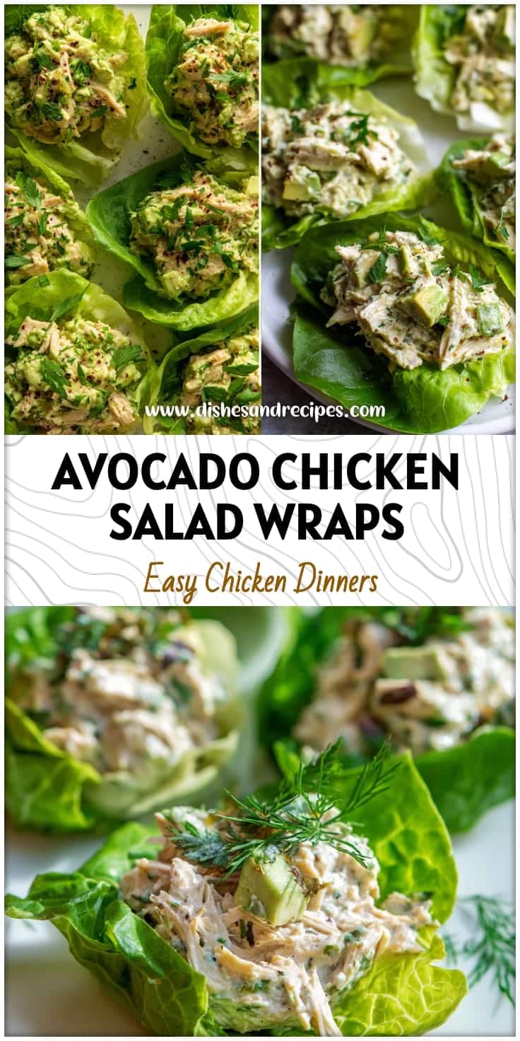 Avocado Chicken Salad Lettuce Wraps - Healthy & Mayo-Free!