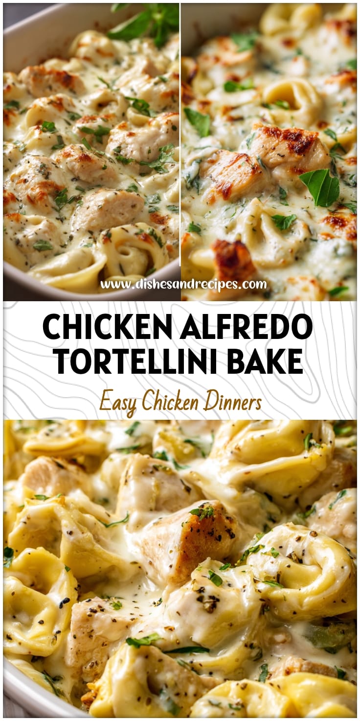 Easy Chicken Alfredo Tortellini Bake Recipe