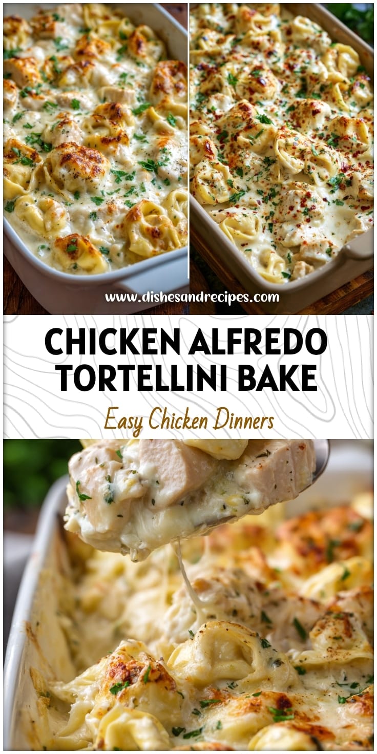 Easy Chicken Alfredo Tortellini Bake Recipe 14 Easy Chicken Alfredo Tortellini Bake Recipe
