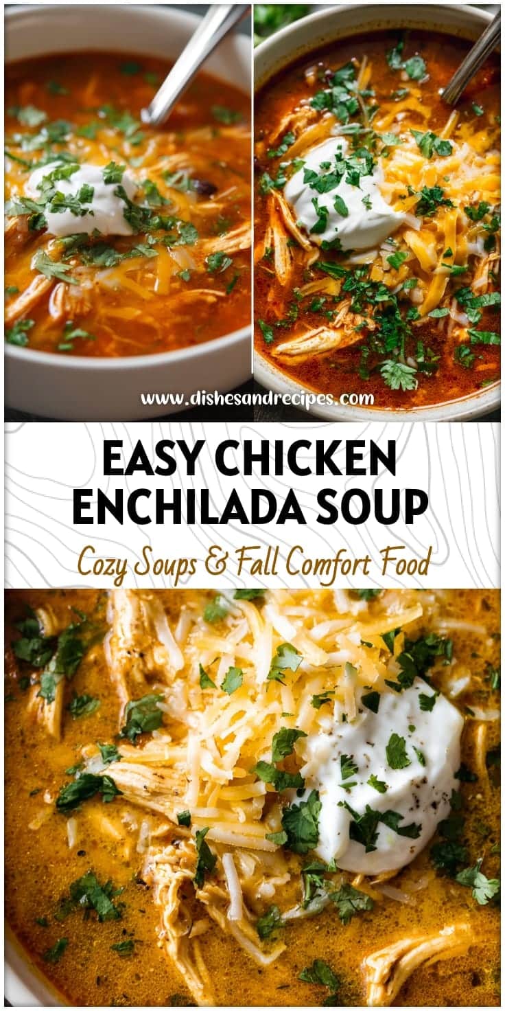 Easy Homemade Chicken Enchilada Soup Recipe