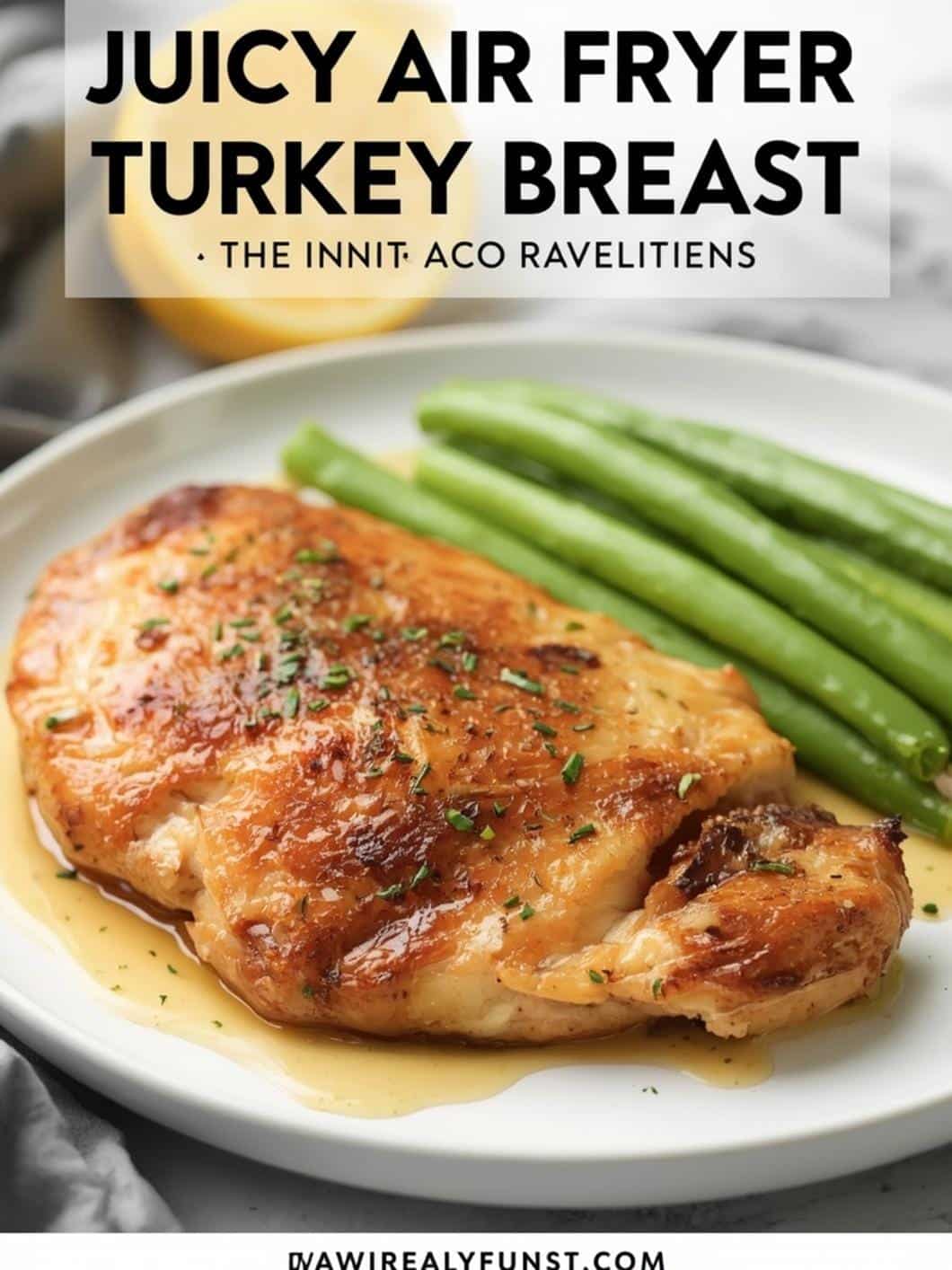 Juicy Air Fryer Turkey Breast Recipe